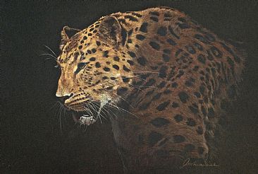 Encroaching Darkness - Amur Leopard by Pete Marshall