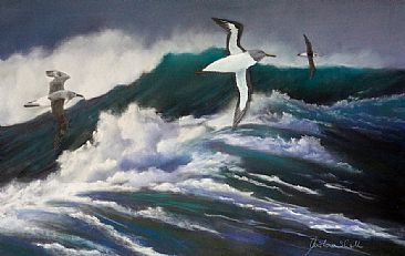 Southern Tempest - Grey Headed Albatross by Pete Marshall