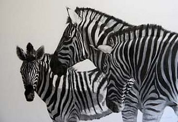 Zebra Family, Etosha -  by Pete Marshall