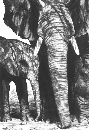 Me and My Shadow - African Elephants by Pete Marshall