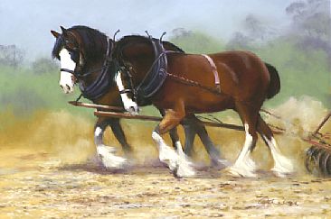 Working Together - Clydesdales by Pete Marshall