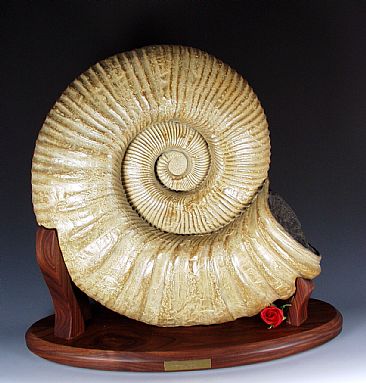 Ammonite - Ammonite by Victoria Parsons