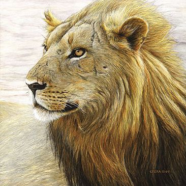Braveheart - African Lion by Edward Spera