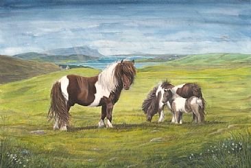 Ponies at Burra - Shetland Ponies At Burra, Shetland by Anne Barron