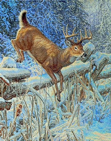 Crystal Dawn - white-tailed deer  by Beth Hoselton