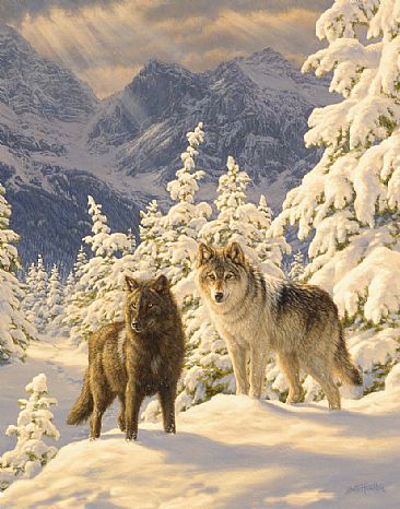 Mountain Majesty - wolves  by Beth Hoselton