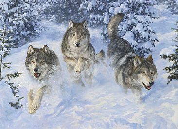 Winter Realm - wolves  by Beth Hoselton