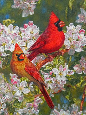 Orchard Song - Northern cardinals  by Beth Hoselton
