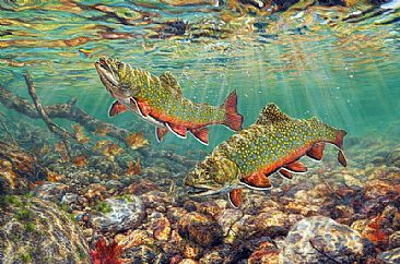 River Light - Brook Trout  by Beth Hoselton