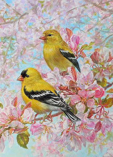 Spring Morning - American goldfinches in crabapple blossoms  by Beth Hoselton