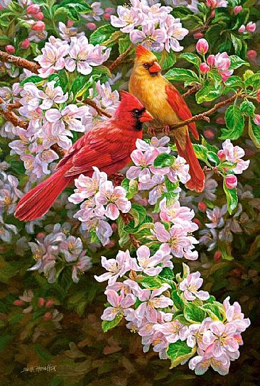 Spring Romance - Northern cardinals  by Beth Hoselton