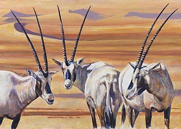 Arabian Oryx  - Arabian Mammals by Peter Blackwell