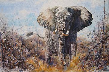 Tsavo Elephant - African Wildlife by Peter Blackwell