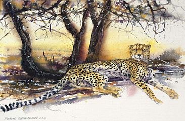 Down Time - African Wildlife by Peter Blackwell