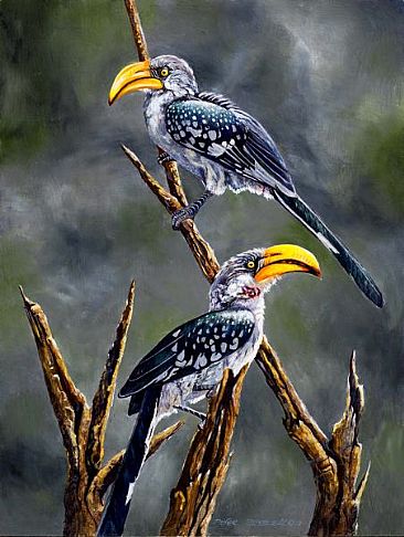 Double Bill - African Birds by Peter Blackwell