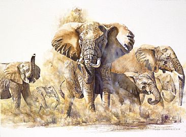 The Matriarch - African Wildlife by Peter Blackwell
