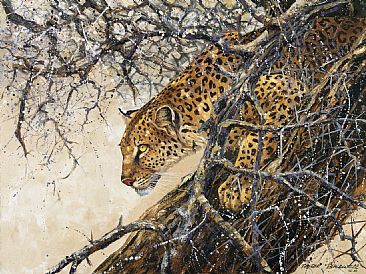 Fatal Focus - African Wildlife by Peter Blackwell