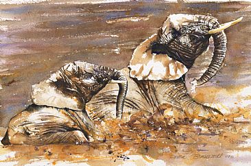 Fun in the Mud - African Wildlife by Peter Blackwell