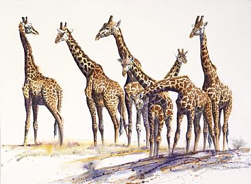 The Higher-archy - African Wildlife by Peter Blackwell