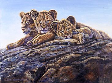 Kings of the Castle - African Wildlife by Peter Blackwell