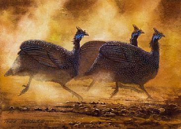 Making Haste - African Birds by Peter Blackwell