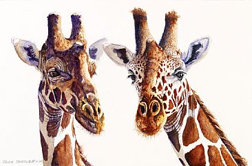 The Perfect Pair - African Wildlife by Peter Blackwell