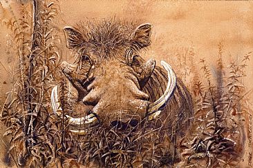 Warts and All - African Wildlife by Peter Blackwell