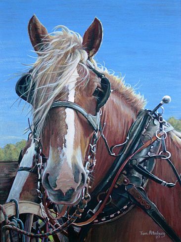 Bill - Draft horse by Tom Altenburg