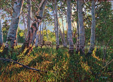 Medicine Bow Sunrise - Elk in the aspen trees by Tom Altenburg