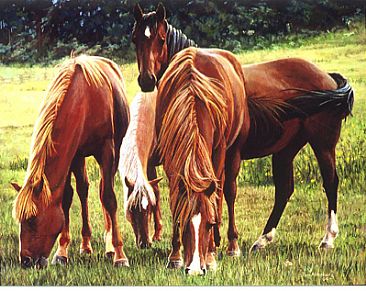 Riding Horses - Horses by Tom Altenburg