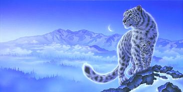 Bigining - Snow leopard by Kentaro Nishino