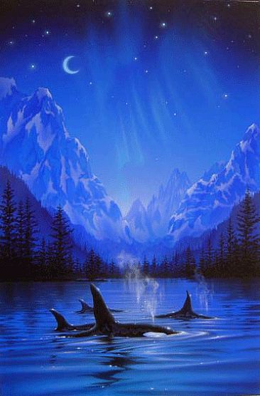 Moonlight Night Journey - Killer whale by Kentaro Nishino