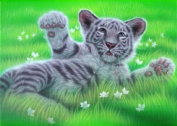 Bed of Grass - White tiger by Kentaro Nishino