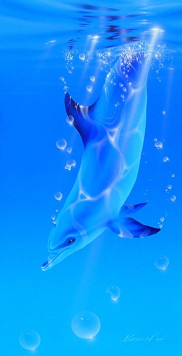 Dive - Dolphin by Kentaro Nishino