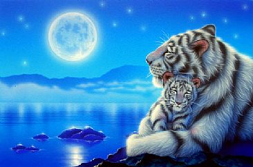 Lullaby - White tiger by Kentaro Nishino