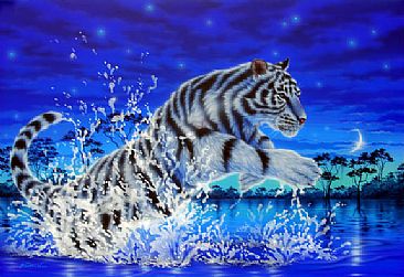 Power of Life - White tiger by Kentaro Nishino