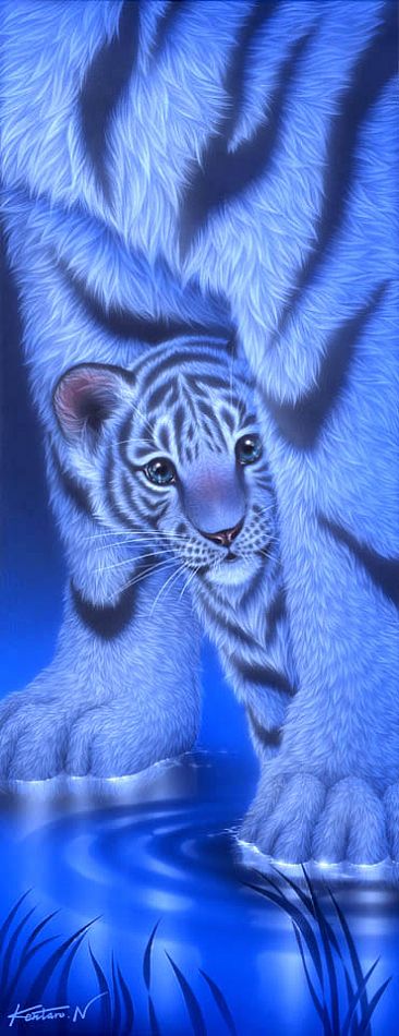 Shy2 - White baby tiger by Kentaro Nishino