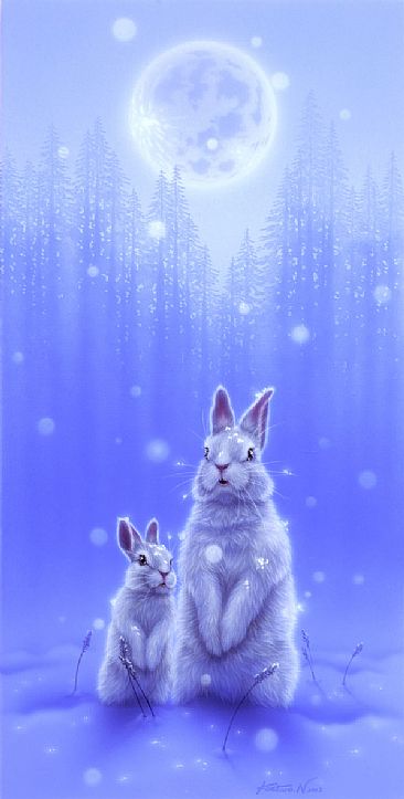 Snow White - Rabbit by Kentaro Nishino
