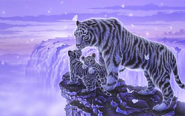 Sound of the Earth - White tiger by Kentaro Nishino