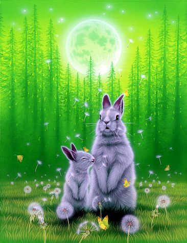 Spring Wind  - Rabbit by Kentaro Nishino