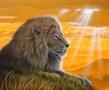 The King of Savanna - Lion by Kentaro Nishino