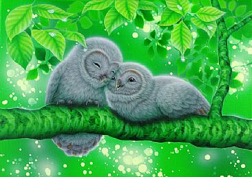 Time Together1 - Owls by Kentaro Nishino