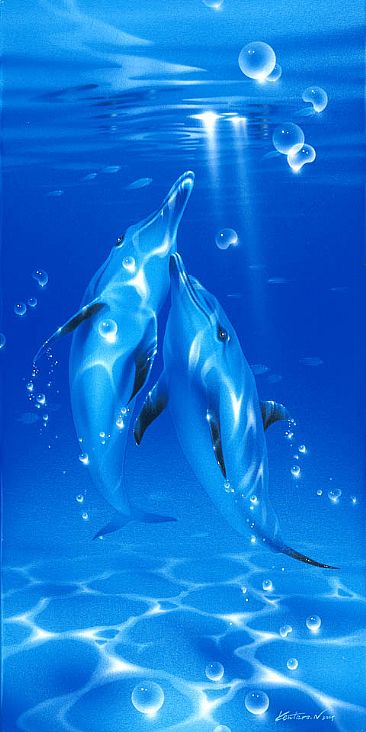 To the Light  - dolphin by Kentaro Nishino