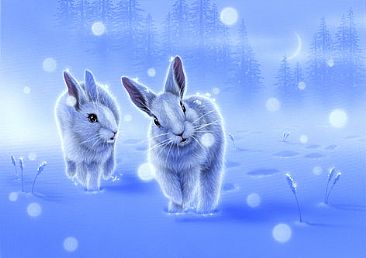 Together - Rabbit by Kentaro Nishino