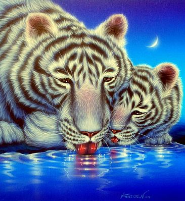 Watering Place - White tiger by Kentaro Nishino