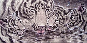 The Watering Place - Tiger by Kentaro Nishino