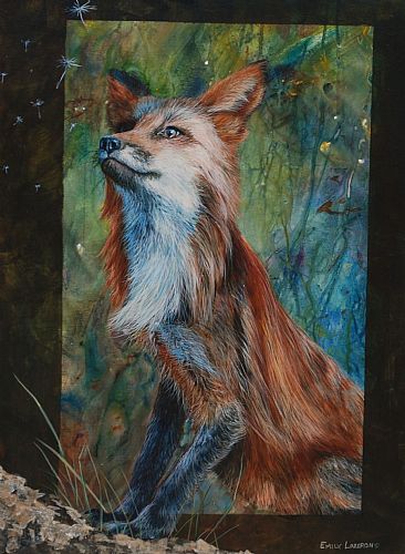 distracted - red fox by Emily Lozeron