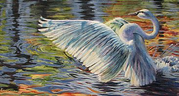 Trumpeter Swan - Trumpeter swans by Emily Lozeron