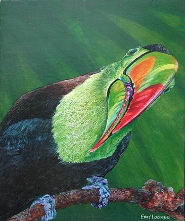toucan -  by Emily Lozeron