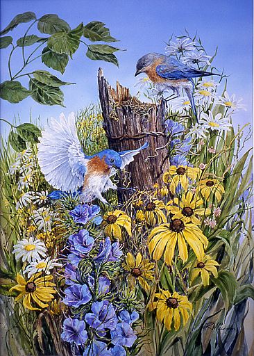 Nesting Bluebirds - Eastern Bluebirds by RoseMarie Condon